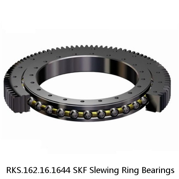 RKS.162.16.1644 SKF Slewing Ring Bearings