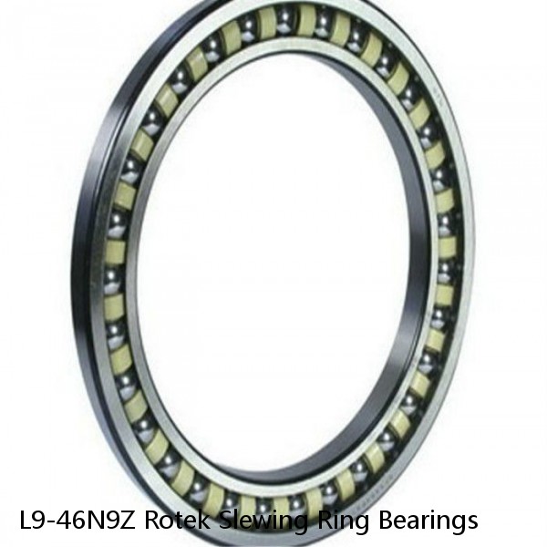 L9-46N9Z Rotek Slewing Ring Bearings #1 small image