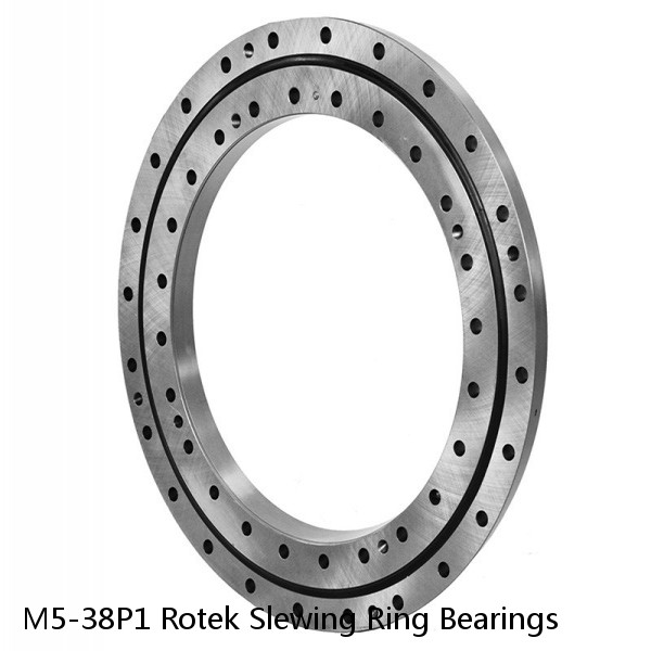 M5-38P1 Rotek Slewing Ring Bearings #1 small image