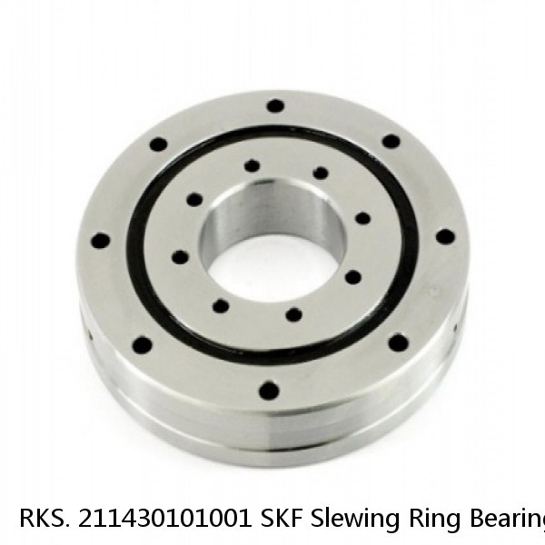 RKS. 211430101001 SKF Slewing Ring Bearings #1 small image
