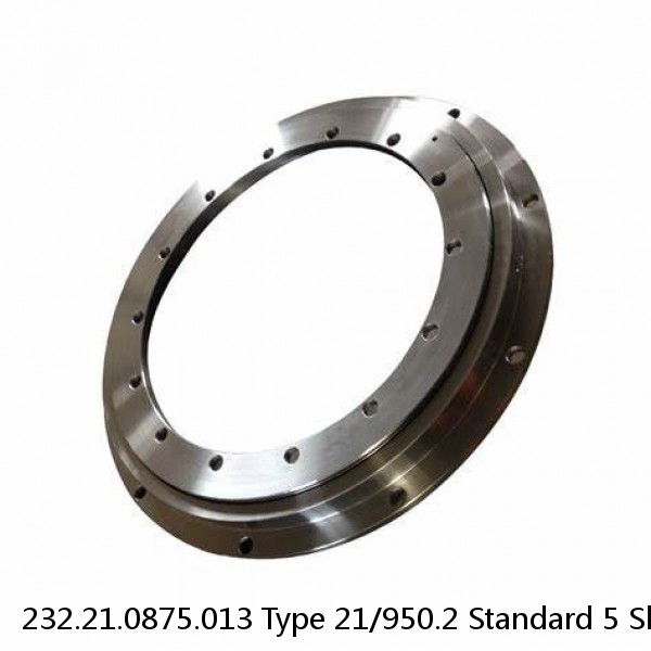 232.21.0875.013 Type 21/950.2 Standard 5 Slewing Ring Bearings #1 image