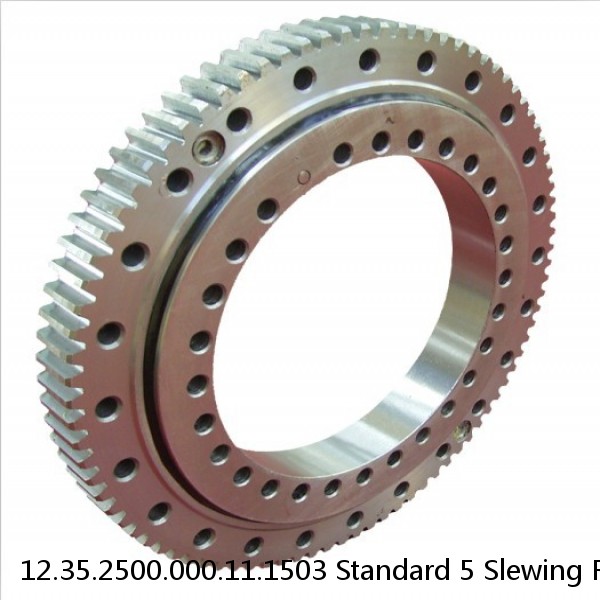 12.35.2500.000.11.1503 Standard 5 Slewing Ring Bearings #1 image