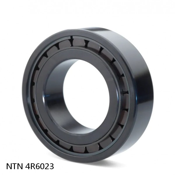4R6023 NTN Cylindrical Roller Bearing #1 image