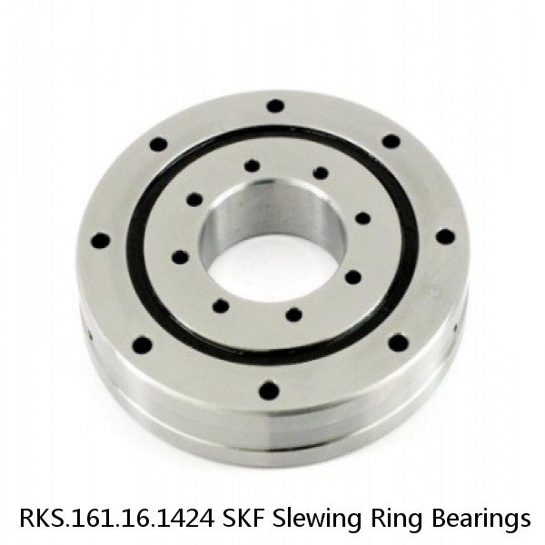 RKS.161.16.1424 SKF Slewing Ring Bearings #1 image