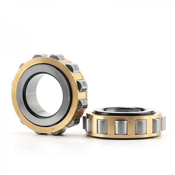 DODGE NSTU-SXV-203  Take Up Unit Bearings #1 image