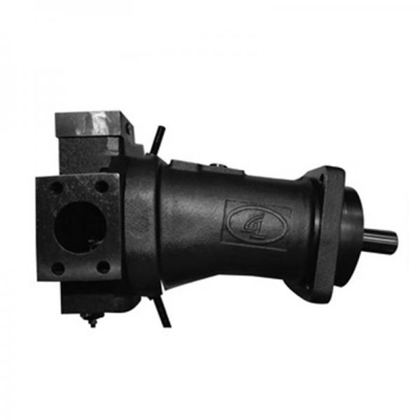 REXROTH R901100678 PVV21-1X/045-027RJ15UUMB Vane pump #1 image
