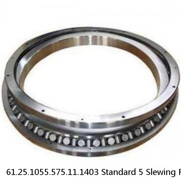 61.25.1055.575.11.1403 Standard 5 Slewing Ring Bearings #1 image