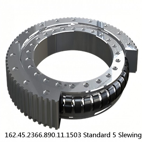 162.45.2366.890.11.1503 Standard 5 Slewing Ring Bearings #1 image