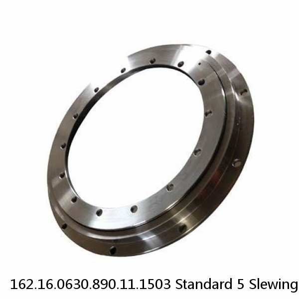 162.16.0630.890.11.1503 Standard 5 Slewing Ring Bearings #1 image