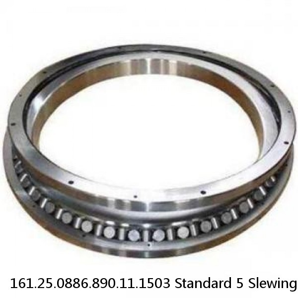 161.25.0886.890.11.1503 Standard 5 Slewing Ring Bearings #1 image