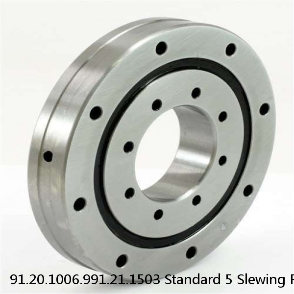 91.20.1006.991.21.1503 Standard 5 Slewing Ring Bearings #1 image