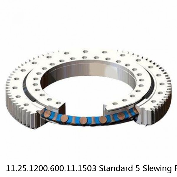 11.25.1200.600.11.1503 Standard 5 Slewing Ring Bearings #1 image