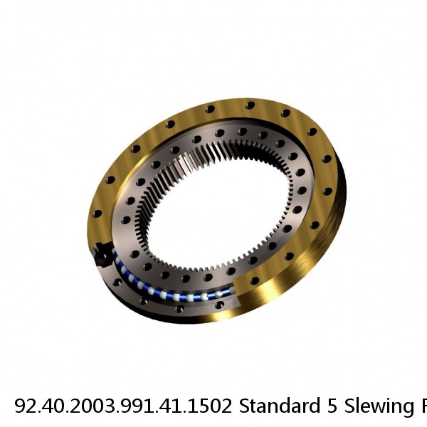 92.40.2003.991.41.1502 Standard 5 Slewing Ring Bearings #1 image