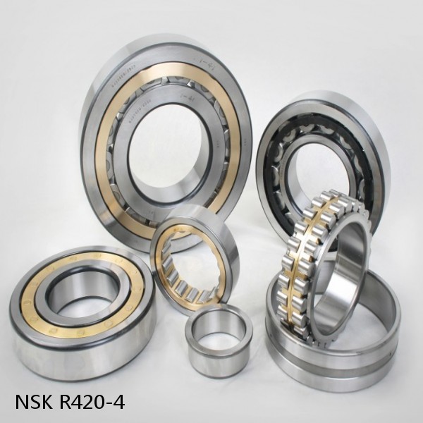 R420-4 NSK CYLINDRICAL ROLLER BEARING #1 image