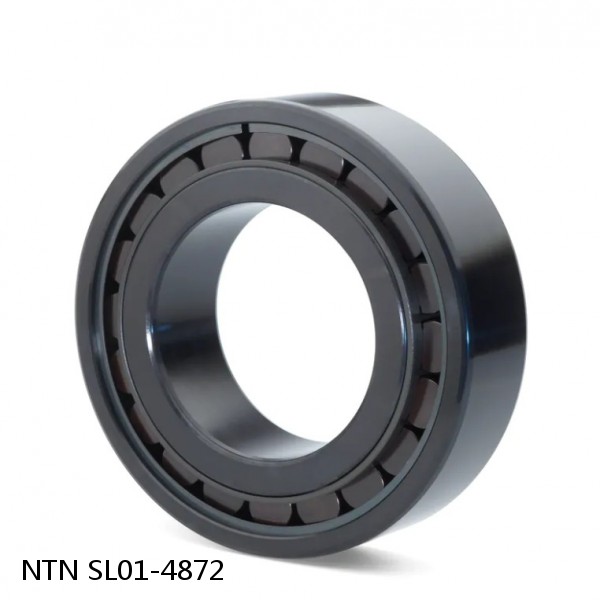 SL01-4872 NTN Cylindrical Roller Bearing #1 image